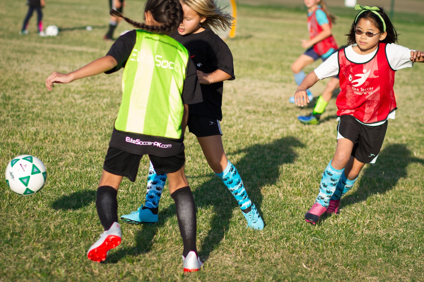 Spring and Fall Clinics